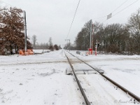 20210207 0138  De Hees : Sneeuwwandeling 2021