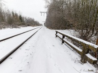 20210207 0141  De Hees : Sneeuwwandeling 2021