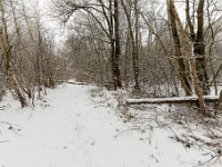 20210207 0142  Pastoorsbos : Sneeuwwandeling 2021