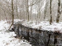 20210207 0144  Pastoorsbos : Sneeuwwandeling 2021
