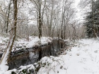 20210207 0146  Pastoorsbos : Sneeuwwandeling 2021