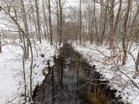 20210207 0150  Pastoorsbos : Sneeuwwandeling 2021