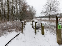 20210207 0154  Pastoorsbos : Sneeuwwandeling 2021