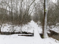 20210207 0156  Pastoorsbos : Sneeuwwandeling 2021