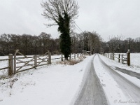 20210207 0158  Verkensbos : Sneeuwwandeling 2021