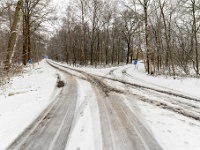 Sneeuwwandeling rond de deur 2021