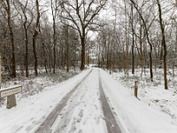20210207 0161  Verkensbos : Sneeuwwandeling 2021