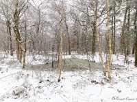 20210207 0163  Verkensbos : Sneeuwwandeling 2021