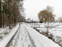 20210207 0165  Verkensbos : Sneeuwwandeling 2021