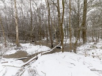 20210207 0168  Verkensbos : Sneeuwwandeling 2021