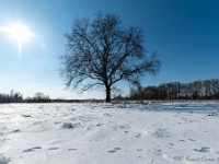 20210212 0004 : Sneeuwwandeling 2021