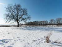 20210212 0008 : Sneeuwwandeling 2021