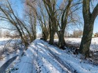 20210212 0010 : Sneeuwwandeling 2021