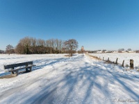 20210212 0011 : Sneeuwwandeling 2021