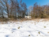 20210212 0012 : Sneeuwwandeling 2021