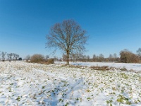 20210212 0015 : Sneeuwwandeling 2021