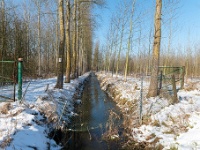 20210212 0025 : Sneeuwwandeling 2021