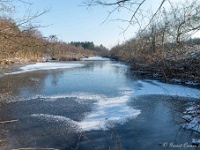 Sneeuwwandeling rond de deur 2021