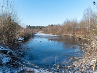 20210212 0051 : Sneeuwwandeling 2021