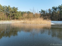 20210212 0068 : Sneeuwwandeling 2021