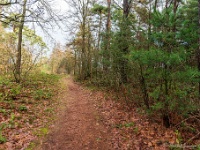20210203 0008 : Tre Fontane Trappisten wandelroute 2021