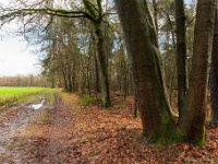 20210203 0010 : Tre Fontane Trappisten wandelroute 2021
