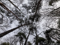 20210203 0014 : Tre Fontane Trappisten wandelroute 2021