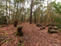 20210203 0016 : Tre Fontane Trappisten wandelroute 2021