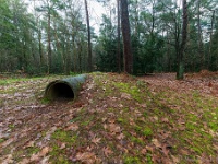 20210203 0021 : Tre Fontane Trappisten wandelroute 2021