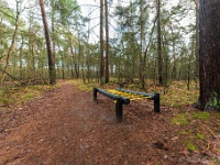 20210203 0037 : Tre Fontane Trappisten wandelroute 2021