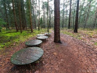 20210203 0040 : Tre Fontane Trappisten wandelroute 2021