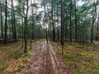 20210203 0043 : Tre Fontane Trappisten wandelroute 2021