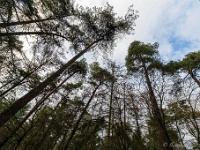 20210203 0051 : Tre Fontane Trappisten wandelroute 2021