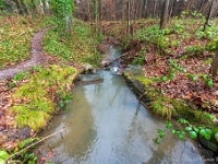 20210203 0064 : Tre Fontane Trappisten wandelroute 2021