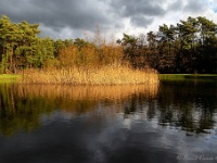 20210203 0071 : Tre Fontane Trappisten wandelroute 2021