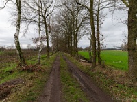 20210123 0019  Het Elsbroek : Westmalle Trappistenwandelroute 2021