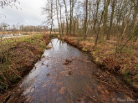 20210117 0046 : West Vleteren Trappisten wandelroute 2021, Beverbeek