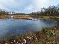 20210117 0050 : West Vleteren Trappisten wandelroute 2021, Beverbeek