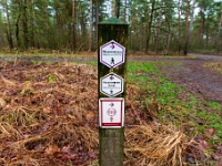 20210117 0092  Hiet is het fout gelopen, moest rechts om maar koos links : West Vleteren Trappisten wandelroute 2021