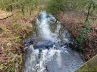 20210117 0096  Warmbeek : West Vleteren Trappisten wandelroute 2021
