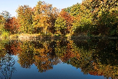 Landschappelijk