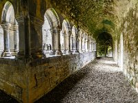 20170924 0603  Askeaton Friary is één van de vele Ierse juweeltjes met een heftige geschiedenis. Ligt sinds 1642 in puin, vernielt door de Engelsen. De galerij rond de binnenplaats is adembenemend. : Ierland 2017