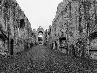 20170924 0622 1-Pano  Askeaton Friary : Ierland, Ierland 2017, Plaatsen