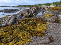 20170925 0473  Ierland, water, rotsen en wier vormen heel wat stillevens. : Ierland 2017