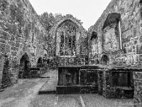 20170927 0897 1  Muckross Friary : Ierland 2017