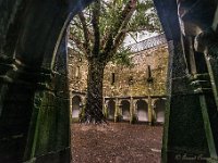 20170927 0905  Muckross Friary : Ierland 2017