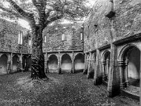 20170927 0913 1-Pano  Muckross Friary : Ierland, Ierland 2017, Plaatsen