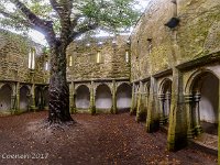 20170927 0913-Pano  Muckross Friary : Ierland, Ierland 2017, Plaatsen