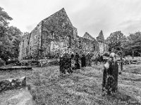 20170927 0989 1  Muckross Friary : Ierland 2017