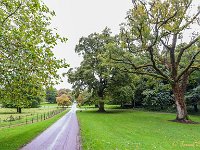 20170927 1007  Op weg naar Muckross Housse. : Ierland 2017